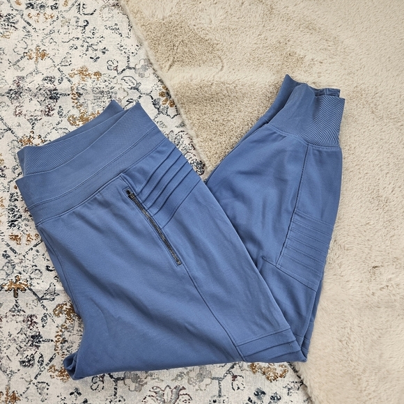 Athleta Venice Moto Jogger in Cottage Blue Plus Size 2X - Picture 5 of 16
